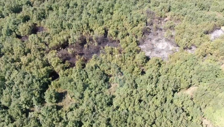 Bursa’da Ormanlık alandaki yangın söndürüldü