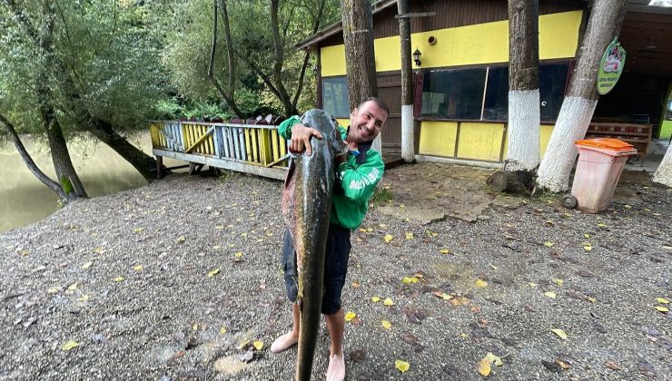 Can sıkıntısıyla çaya attığı oltasına 51 kiloluk dev takıldı