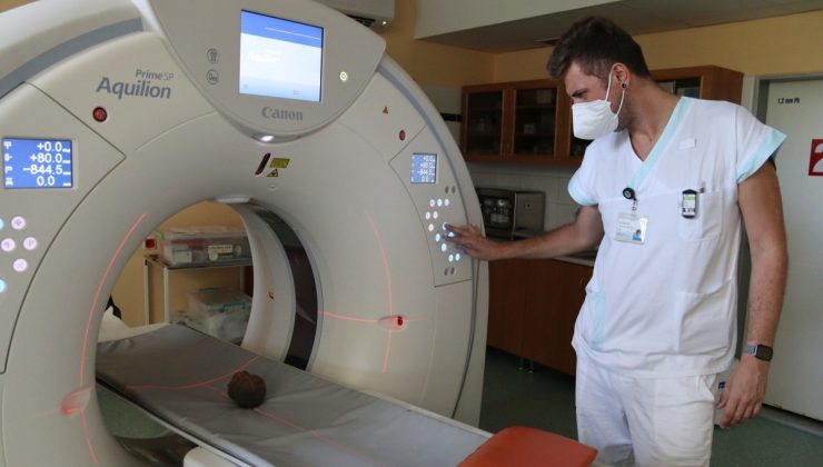 Çekya’da bir köpek 14. yüzyıldan kalma hazine buldu