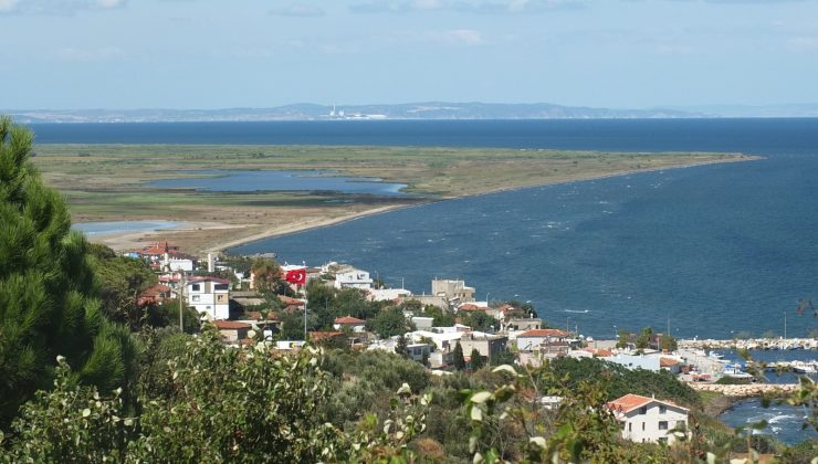 Çevrecilerin karides isyanı