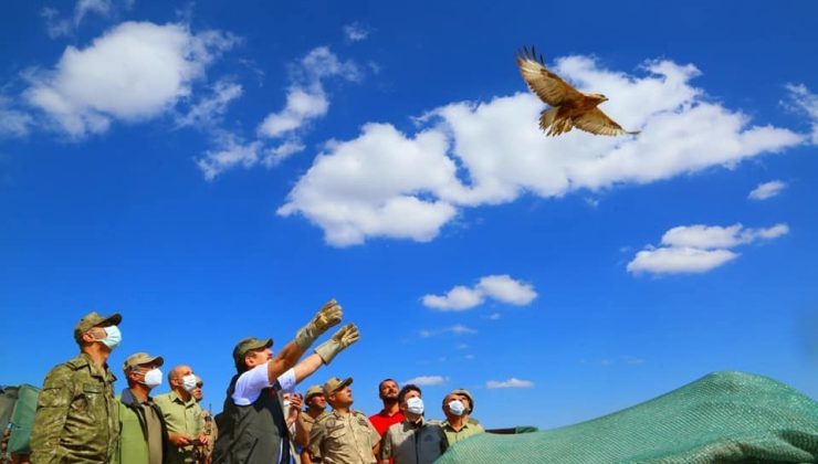 Cudi Dağı Milli Park oluyor