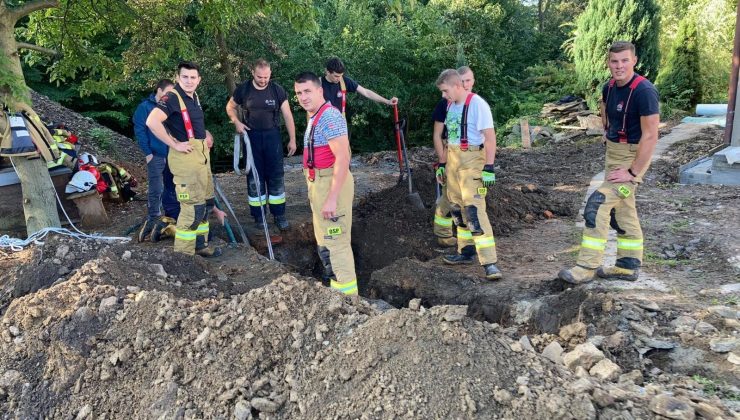 Çukura düşen geyiği itfaiye kurtardı