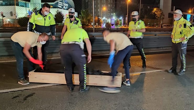 D-100’de feci motosiklet kazası: 2 ölü