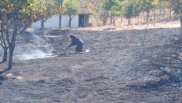 Dağ ilçesinde korkutan yangın