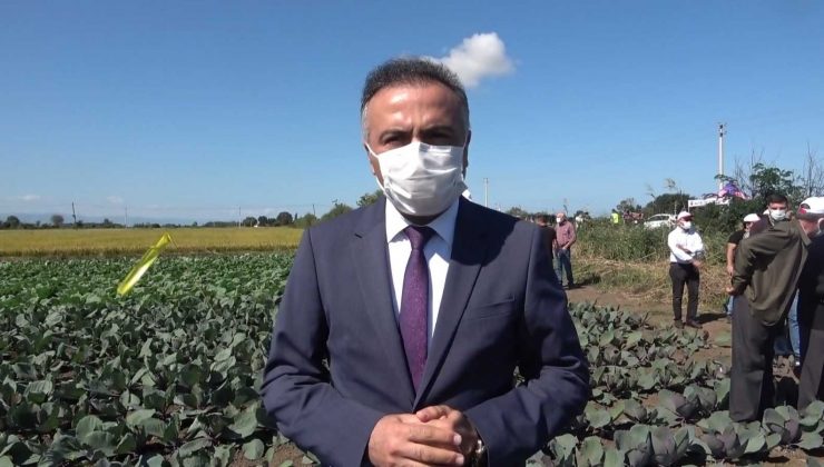 Daire Başkanı Dilber: “Analiz sorununu çözeceğiz”