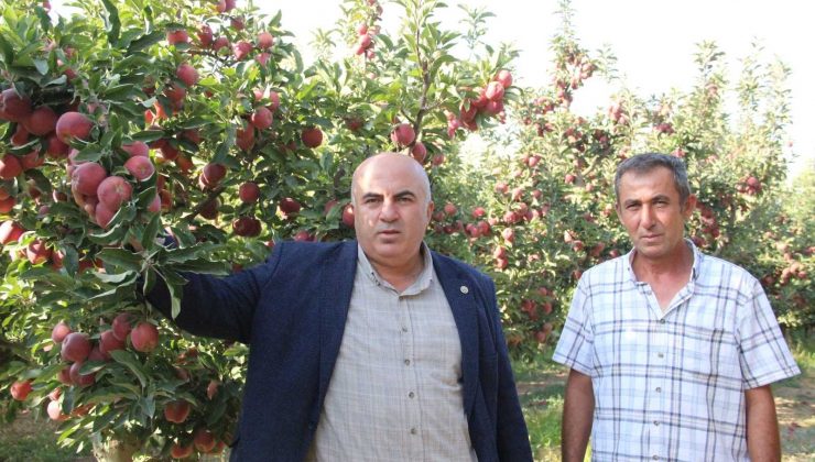 Elma, kentteki zincir marketlerde 3-4 katına satılıyor