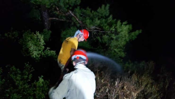 Datça’daki örtü yangını ekipleri harekete geçirdi