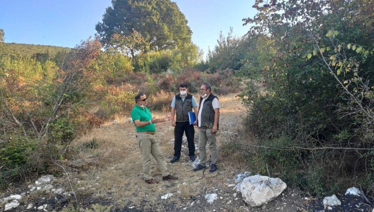 Defne kalitesini garantileyen proje