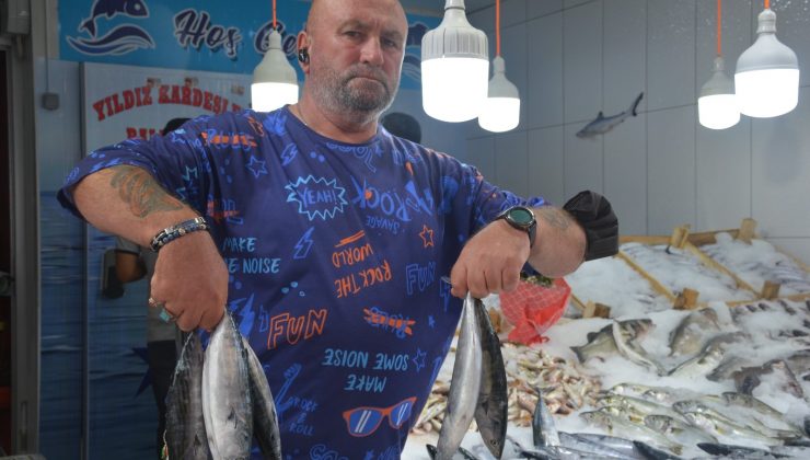 Denizlerde av sezonu açıldı, sezonun ilk palamutları 25 TL