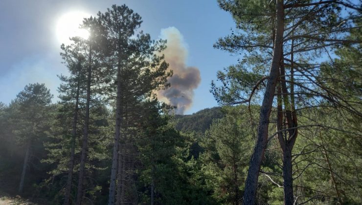 Denizli’deki orman yangını söndürüldü