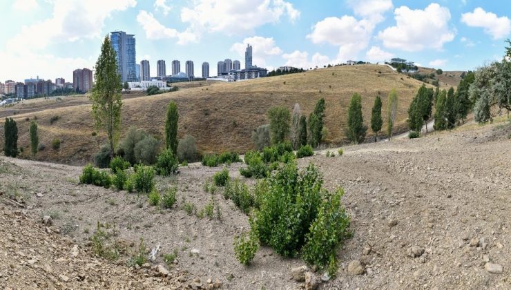 Dikmen Deresi’nde yürütülen atıkla mücadele çalışmaları tamamlandı