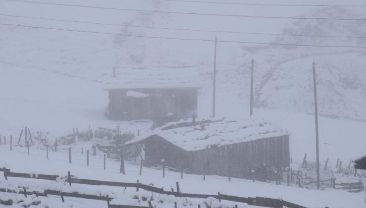 Doğu Karadeniz’in yüksek kesimlerinde kar kalınlığı 30 santimetreyi buldu