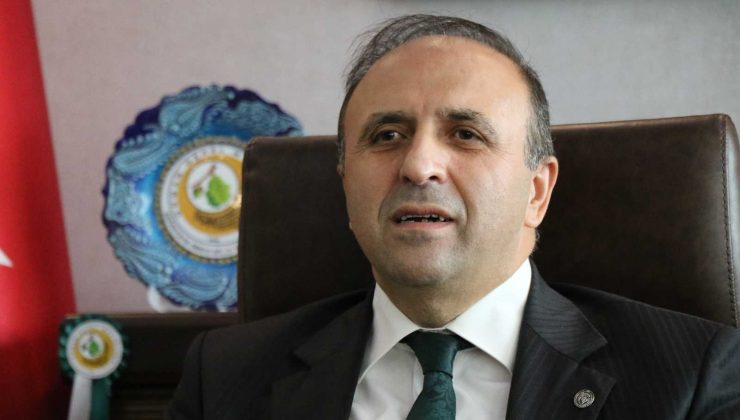 Dünyanın en sıcak noktasında bir ağaç müzesi