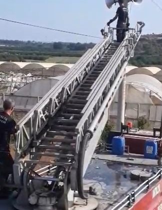 Elektrik teline takılan serçeyi itfaiye ekipleri kurtardı