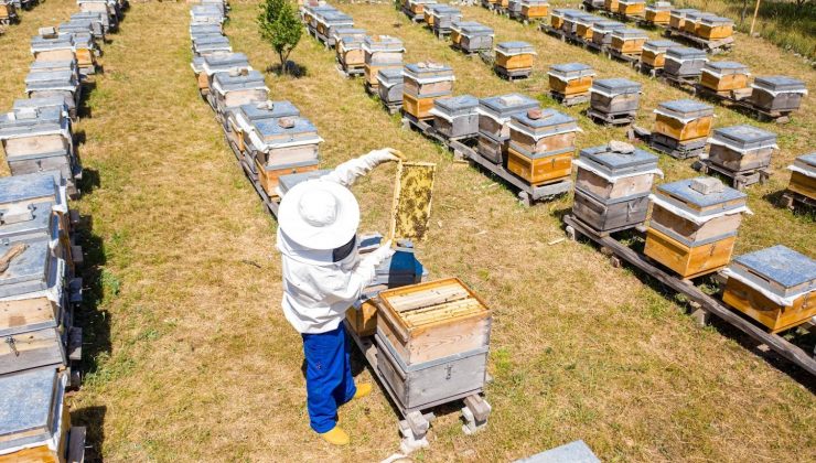 En tatlı destek, tonlarca bala dönüştü