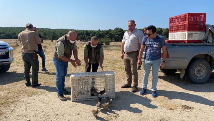Enez’de 200 keklik doğaya bırakıldı