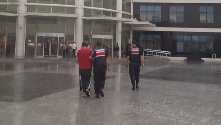 Ev fareleri jandarmadan kaçamadı