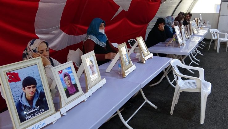 Evlat hasreti çeken baba Demir: “Kardeşi kardeşe vurdurtuyorlar”