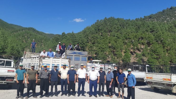 Feke’de üreticilere yem desteği