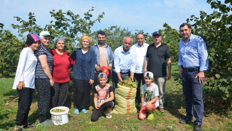 Fındık bahçelerinde ’orman arazisi’ sorunu