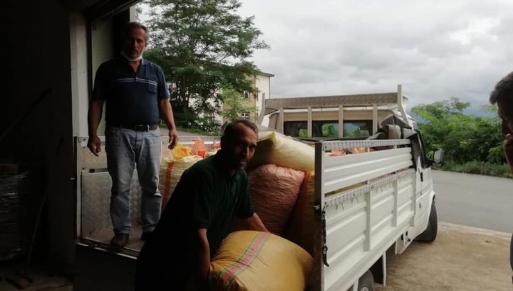 FİSKOBİRLİK serbest piyasanın üzerinde fındık alımlarını sürdürüyor