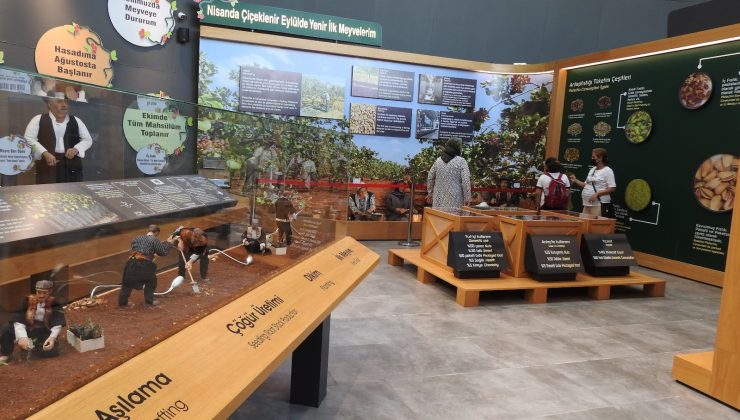 Fıstığın başkentinde fıstık gibi müze