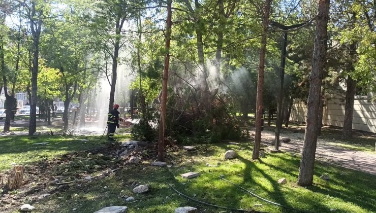 Freni boşalan hafriyat kamyonu parka daldı