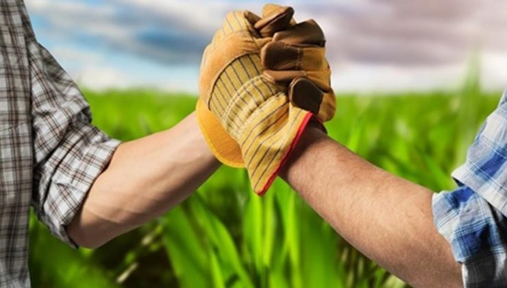 GEKA kooperatif ve birliklere eğitim hizmeti başlatıyor