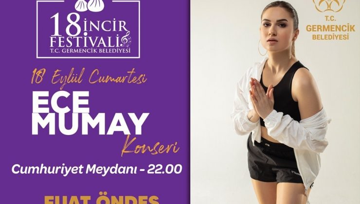 Germencik’te incir festivali için geri sayım başladı