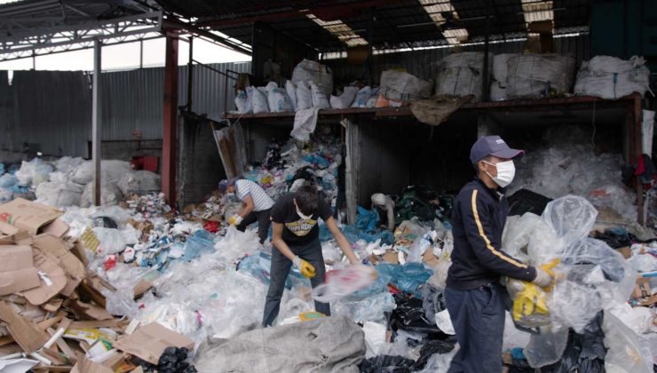 Güngören’de her bina 5 ağacı kesilmekten kurtardı