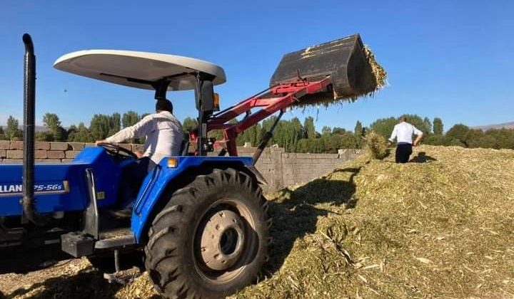 Güroymak’ta silajlık mısır hasadı devam ediyor