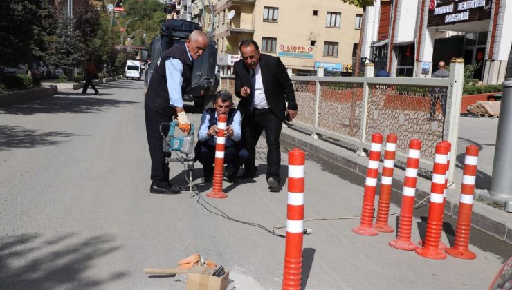 Hakkari Belediyesinden duba çalışması