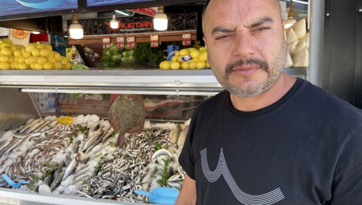 Hamsi yüzleri güldürdü palamut ise hayal kırıklığı yaşattı