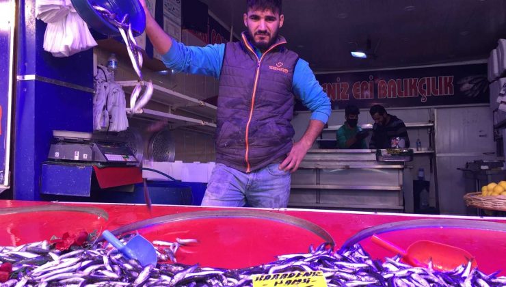 Hamsinin fiyatı düşmeye devam ediyor