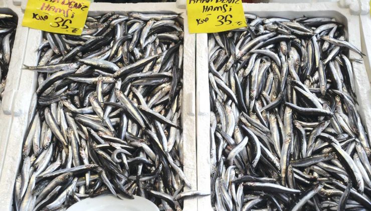 Hamsinin fiyatı düşmüyor, lüferde bolluk var