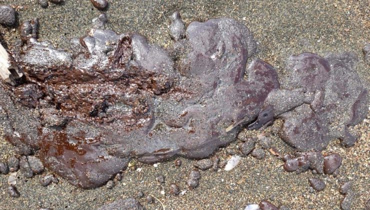 Hatay Büyükşehir’den vatandaşlara “petrol atıklarının olduğu sahilde denize girmeyin” uyarısı