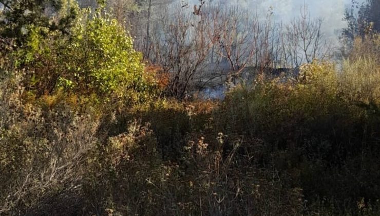 Hatay’da ikinci orman yangını