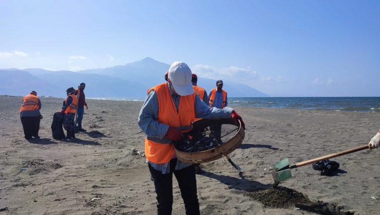 Hatay’da sahillerden günde 1 ton petrol atığı temizleniyor