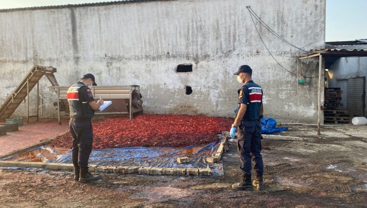 Hayvan damında ürettikleri salçayı vatandaşa yedireceklerdi