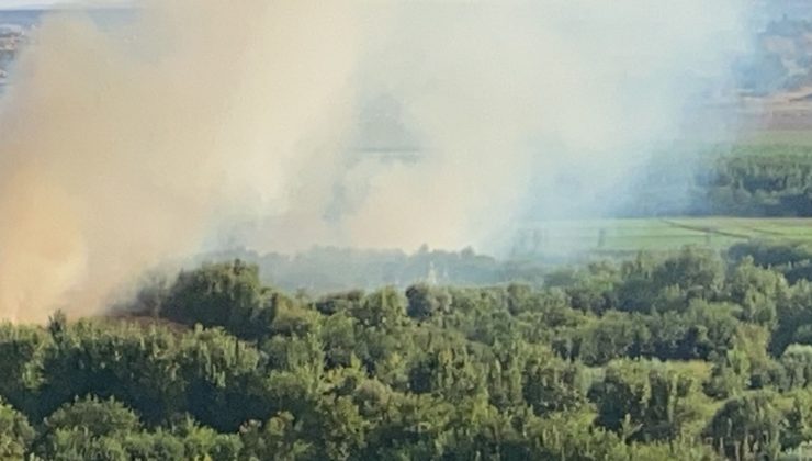 Hevsel Bahçeleri’nde korkutan yangın