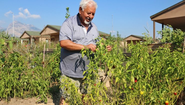 Hobi Bahçeleri için başvurular başladı