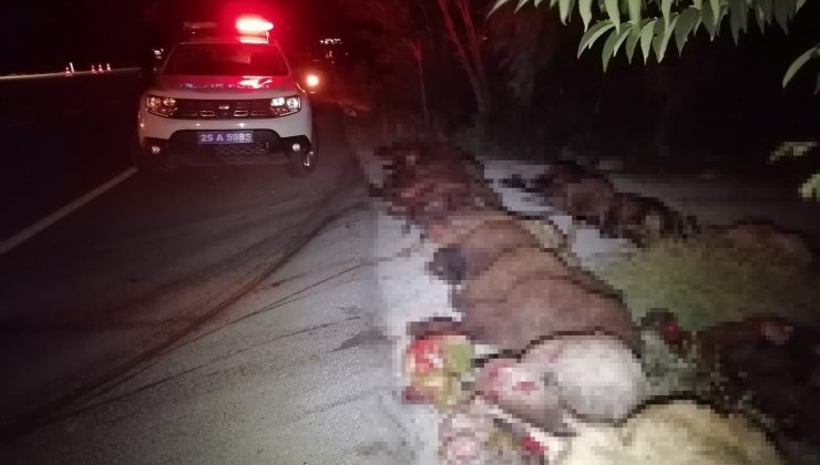 İki otomobil koyun sürüne çarptı