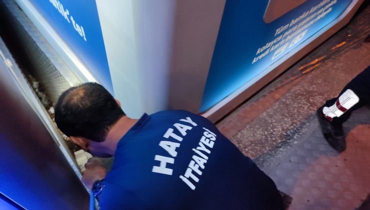 İki yavru kedi mahsur kaldığı yerden kurtarıldı