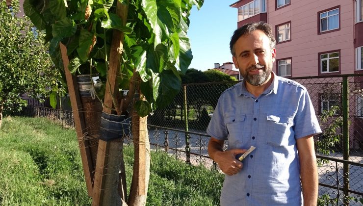 İmam 20 yıldır doğada gördüğü meyve ağaçlarını aşılıyor
