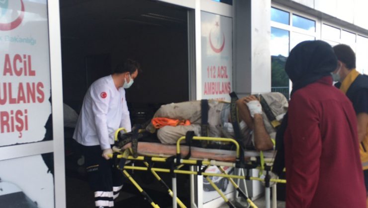 İncir ağacından düşerek yaralandı