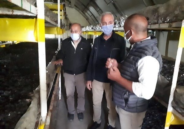 Isparta’da 24 aileye mantar üretimi desteği