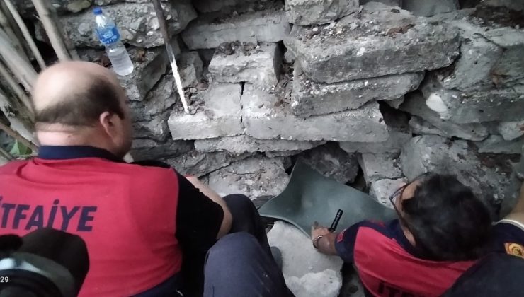 İtfaiyeciler taşların arasına düşen yavru köpekleri kurtarmak için 8 saat uğraştı