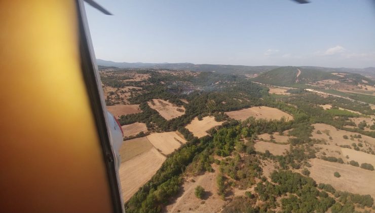 İvrindi’de çıkan orman yangını büyümeden söndürüldü