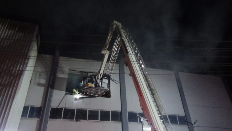 İzmir’de orman ürünleri depo ve atölyesinde çıkan yangın söndürüldü