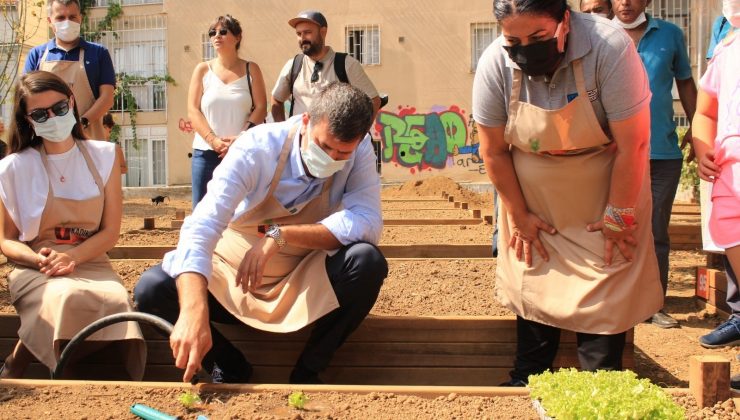 Kadıköy bostanlarının açılışı gerçekleşti